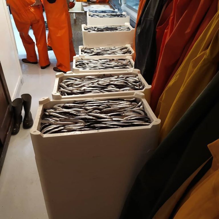 Pescaturismo a Procida - una notte da pescatori - immagine 3