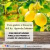 Lemon Experience a Procida