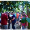 Lemon Experience - guided tour of the lemon grove of the Lubrano farm - Image 3