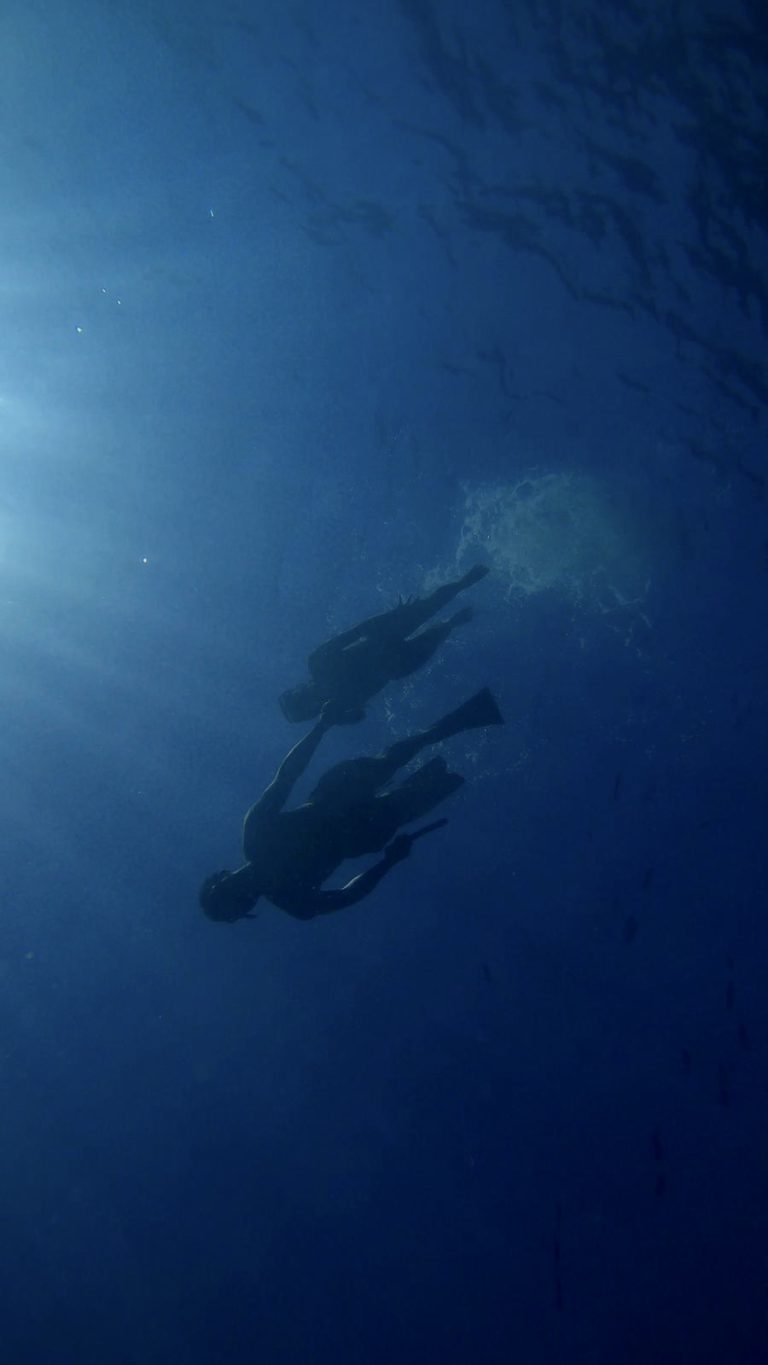 Escursione snorkeling a Procida con attrezzatura inclusa - immagine 11